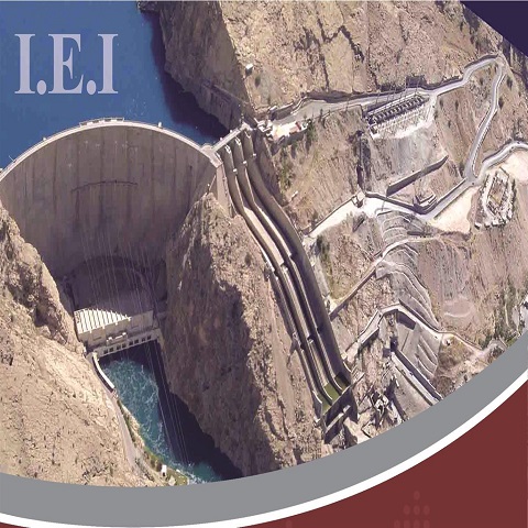 Dam industries and hydro and gas thermal power plants